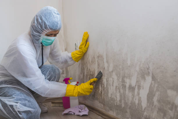 Best Crawl Space Mold Removal  in Sam Rayburn, TX