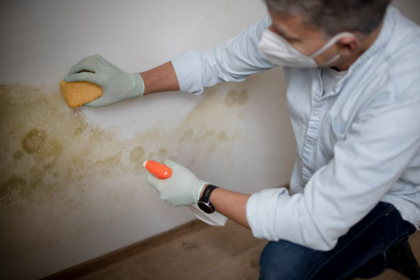 Best Mold Testing  in Sam Rayburn, TX