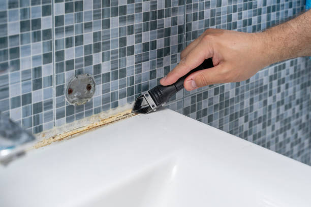 Best Commercial Mold Removal  in Sam Rayburn, TX